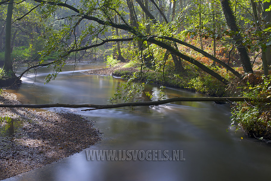 Uitzicht over De Swalm