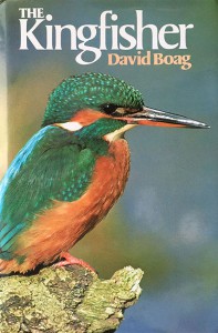 Het boek 'The Kingfisher' van David Boag