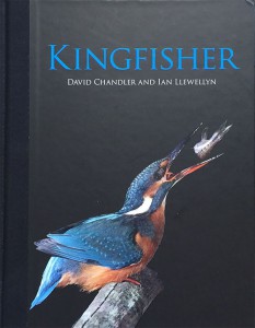 Het boek 'Kingfisher' van David Chandler